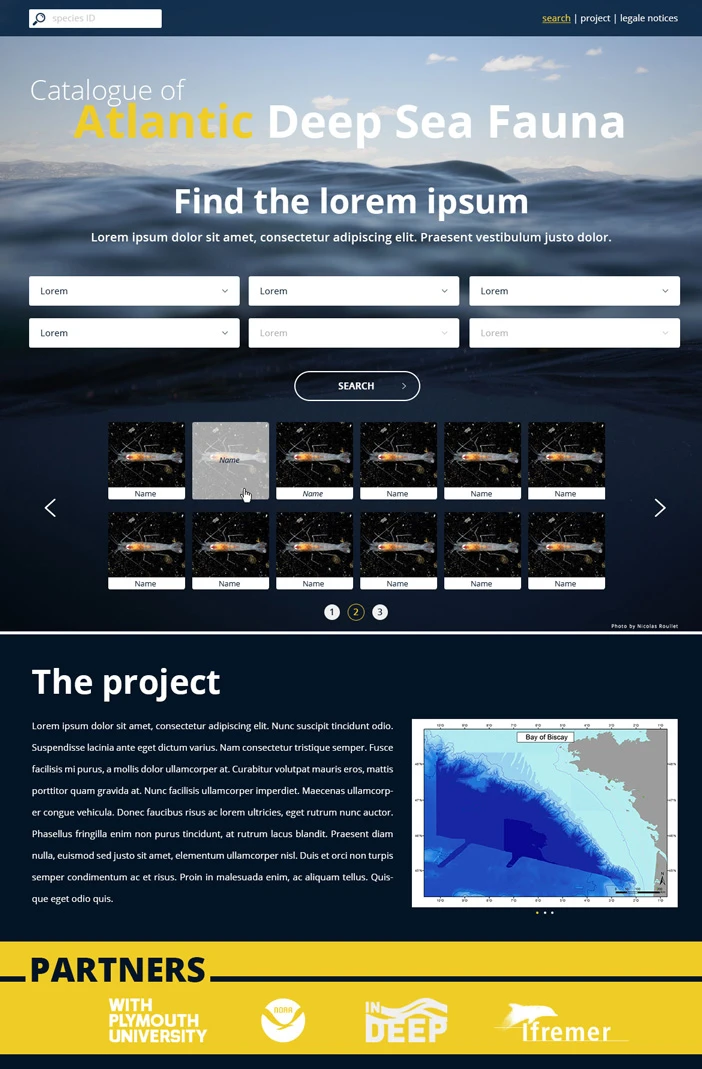 Nicolas-Roullet_Ifremer_Catalogue-of-Atlantic-Deep-Sea-Fauna-webdesign template design web medelse