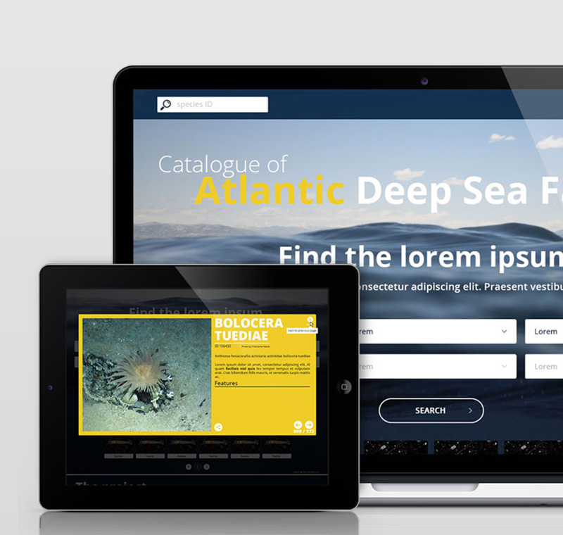 Ifremer ONC Catalogue of atlantic deep sea fauna Nicolas Roullet Brest Julie Tourolle