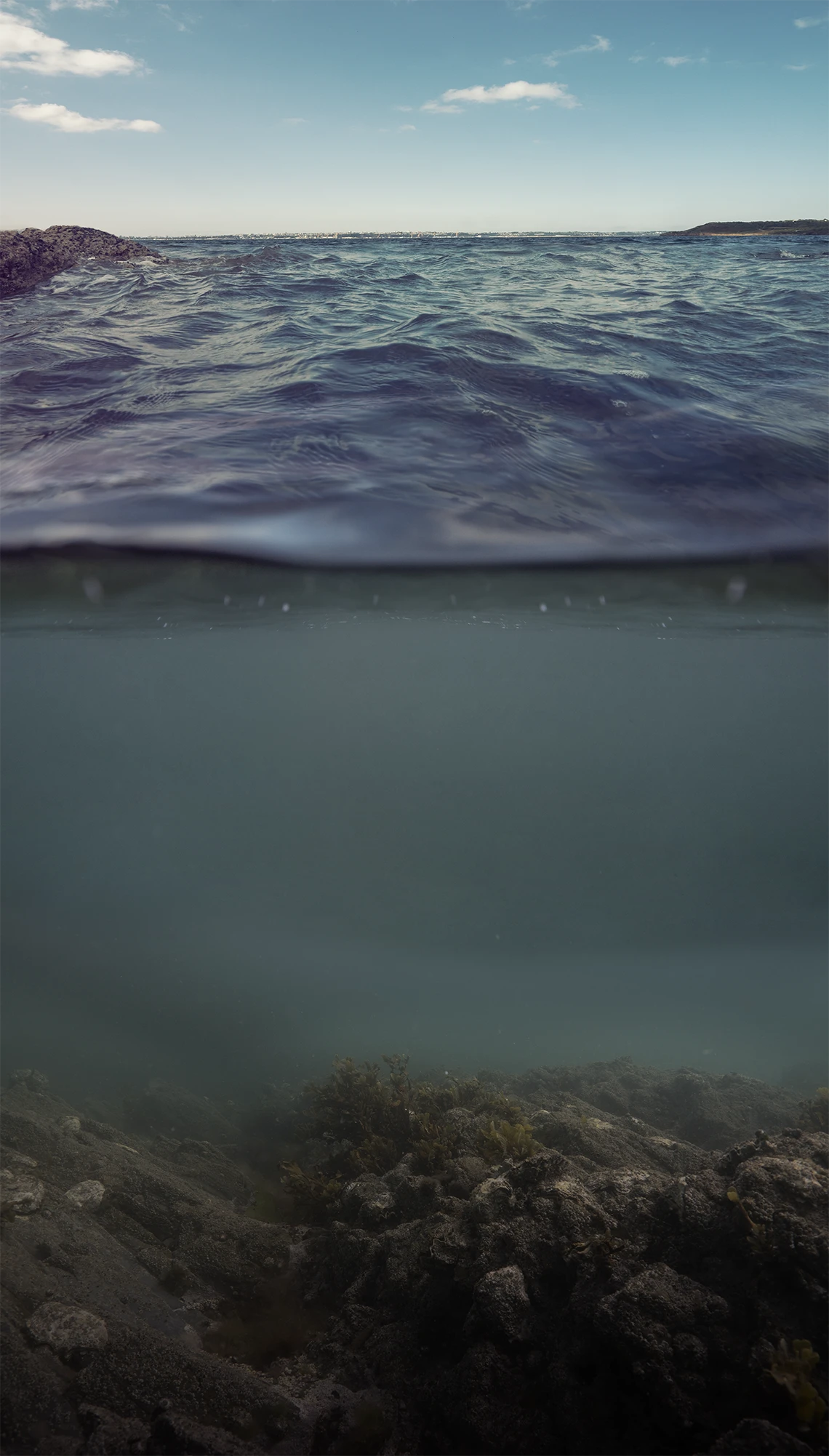 Nicolas-Roullet_Ifremer_Shore-Spy_Espions-Cotes_Plongee