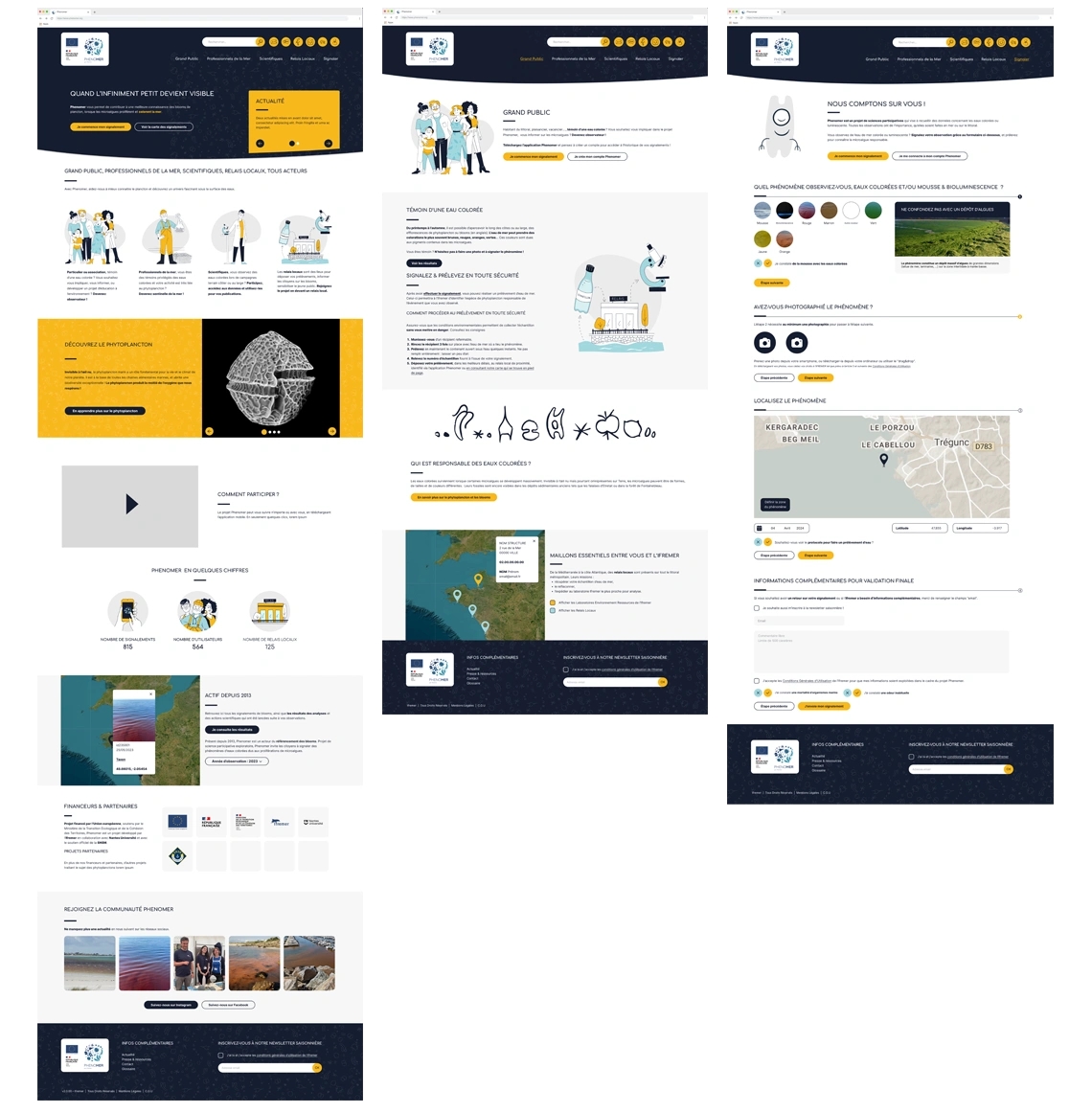 Nicolas-Roullet_Ifremer-Phenomer-site-webdesign Logo phenomer Nicolas Roullet Concarneau Ifremer UX UI Webdesign Illustration Phiphi