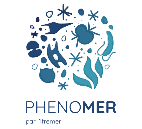 Nicolas-Roullet_Ifremer-Phenomer-Logo Nicolas Roullet Phenomer Concarneau Ifremer plancton